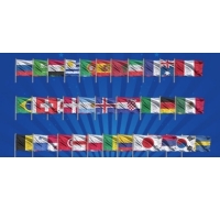 World Cup Individual Flags