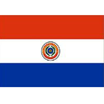 Paraguay Sewn Flag