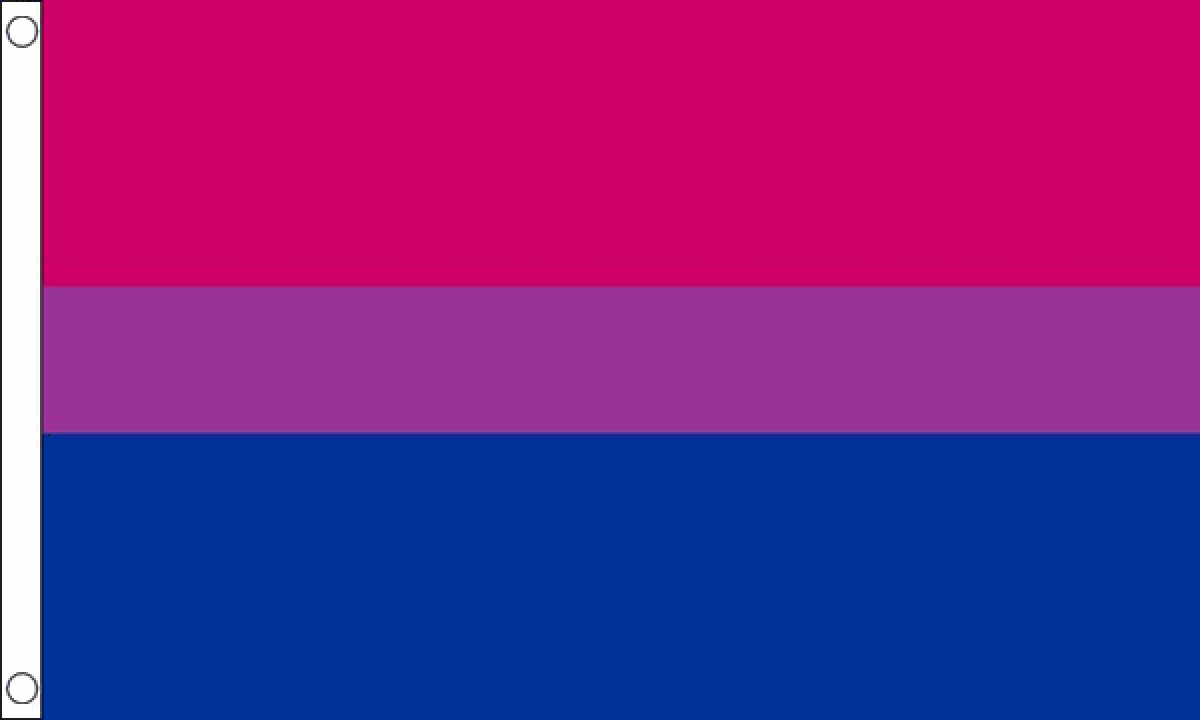 Bisexual флаг. Флаг би ориентации. Флаг бисексуалов ориентация. Флаг. Флаги 1.16 5