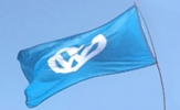 Light Blue VW Flag