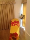 Scotland Lion coffin drape