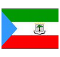 Equatorial Guinea Printed Flag