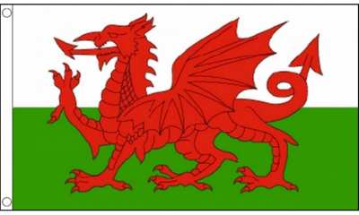 Festival Flagpole Kit Welsh Dragon