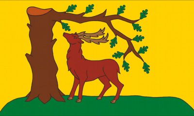 Royal Berkshire British County Flag