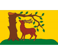 Royal Berkshire British County Flag