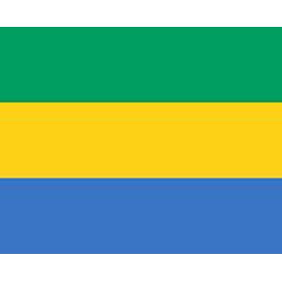 Gabon Printed Flag