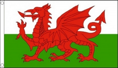 Printed Welsh Dragon