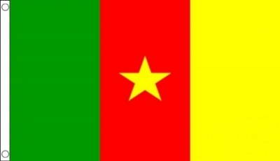 Cameroon Printed Flag