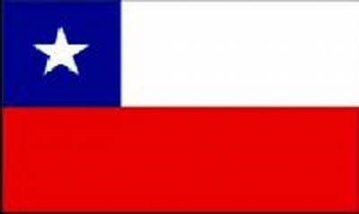 Chile Printed Flag