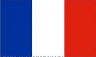 France Printed Flag