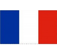 France Printed Flag