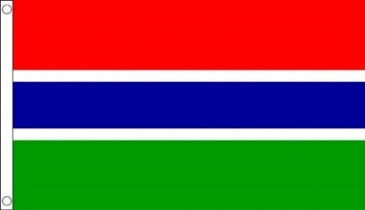 Gambia Printed Flag