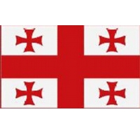 Georgia Printed Flag