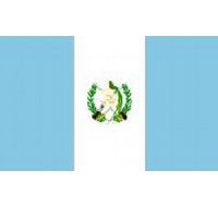 Guatemala Printed Flag