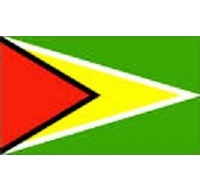 Guyana Printed Flag