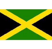 Jamaica Printed Flag