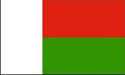 Madagascar Printed Flag