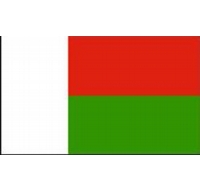 Madagascar Printed Flag
