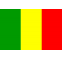 Mali Printed Flag