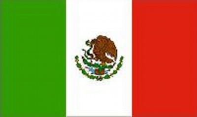 Mexico Printed Flag