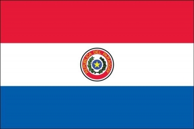 Paraguay Printed Flag