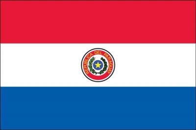Paraguay Printed Flag