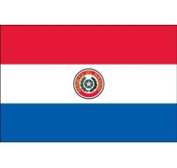 Paraguay Printed Flag