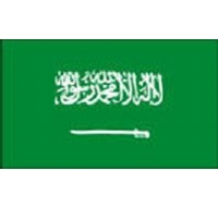 Saudi Arabia Printed Flag