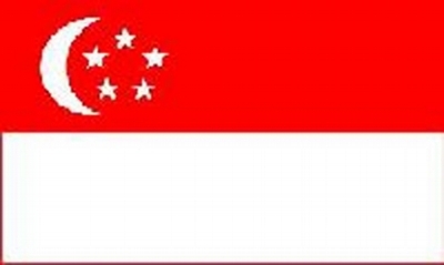 Singapore Printed Flag