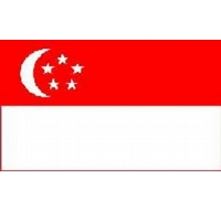 Singapore Printed Flag