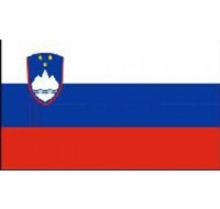 Slovenia Printed Flag