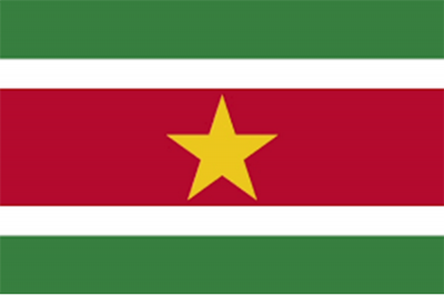 Suriname Printed Flag