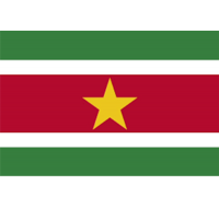 Suriname Printed Flag