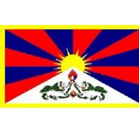 Tibet Printed Flag
