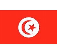 Tunisia Printed Flag