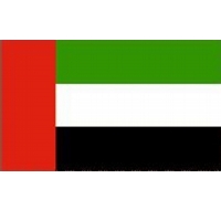 United Arab Emirates Printed Flag