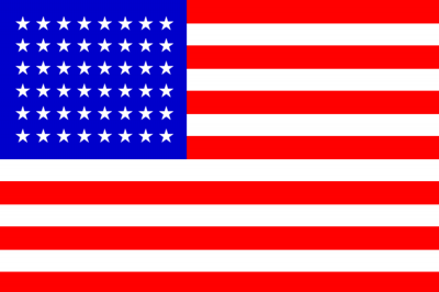 USA Printed Flag