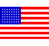 USA Printed Flag