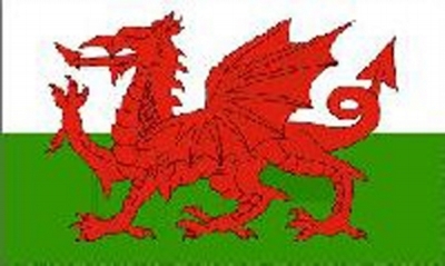 Wales Printed Flag