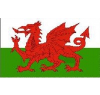 Wales Printed Flag