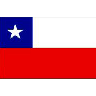 Chile Sewn Flag