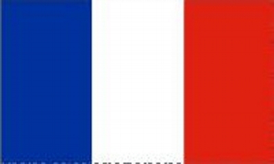 France Sewn Flag