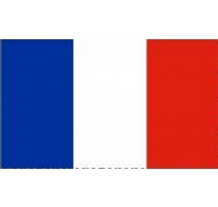 France Sewn Flag