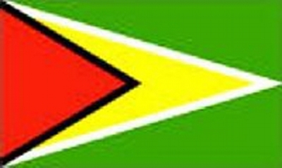 Guyana Sewn Flag