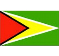 Guyana Sewn Flag