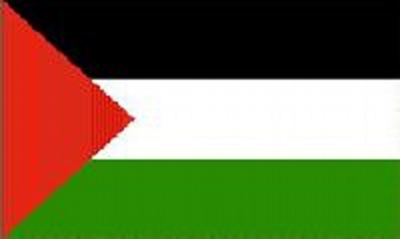 Palestine Sewn Flag