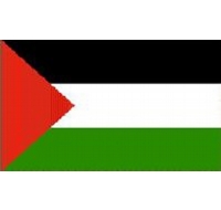 Palestine Sewn Flag