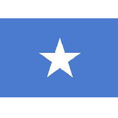 Somalia Sewn Flag