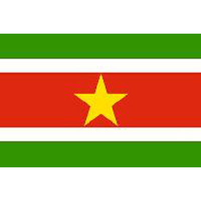 Suriname Sewn Flag