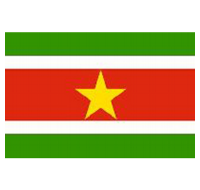 Suriname Sewn Flag